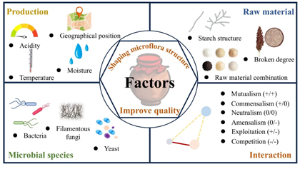 xc sports(中国区)-官方网站